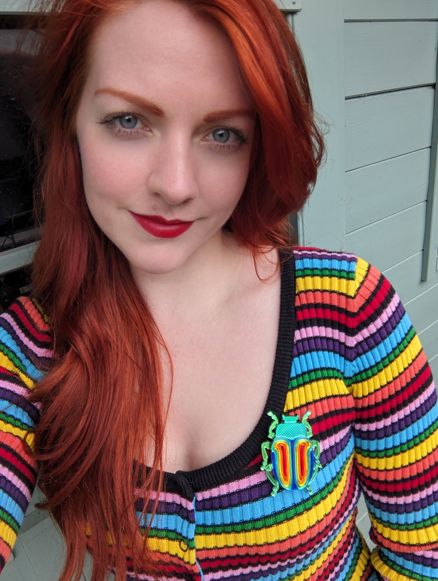 PRE ORDER Rainbow Beetle Brooch (Chrysolina Fatuosa) Just lighter green colouring on body left now so will look like the one on the white background and pendant (see listing)