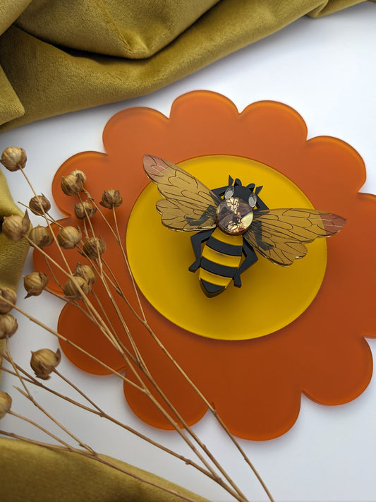 PRE ORDER Single Honey Bee Brooch (just magnet fastening. Featuring in house recycled acrylic)