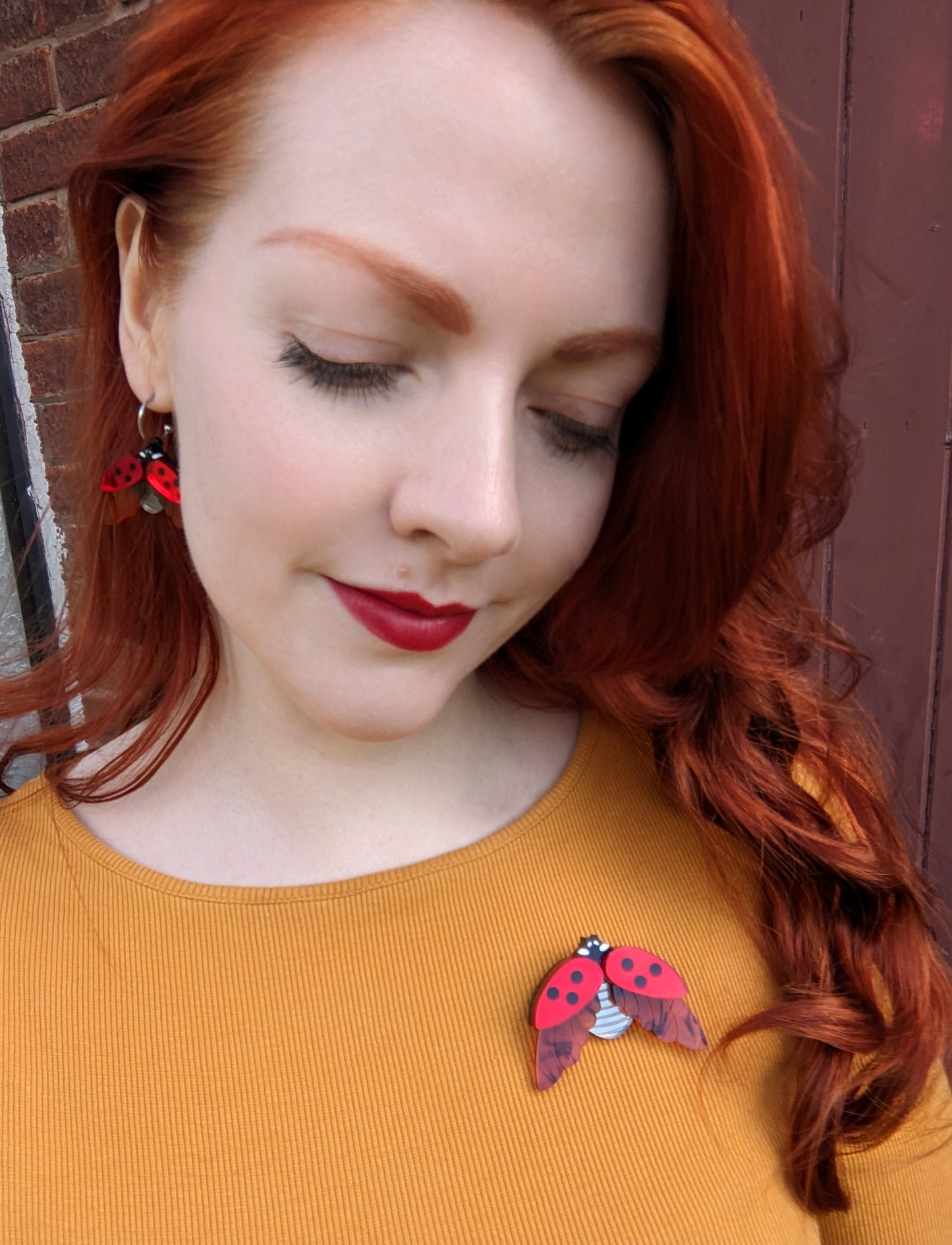 PRE ORDER Ladybird Brooch Red Mirror