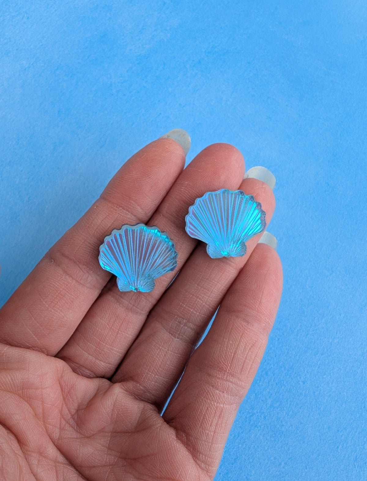 Shell Stud Earrings (6 colours)