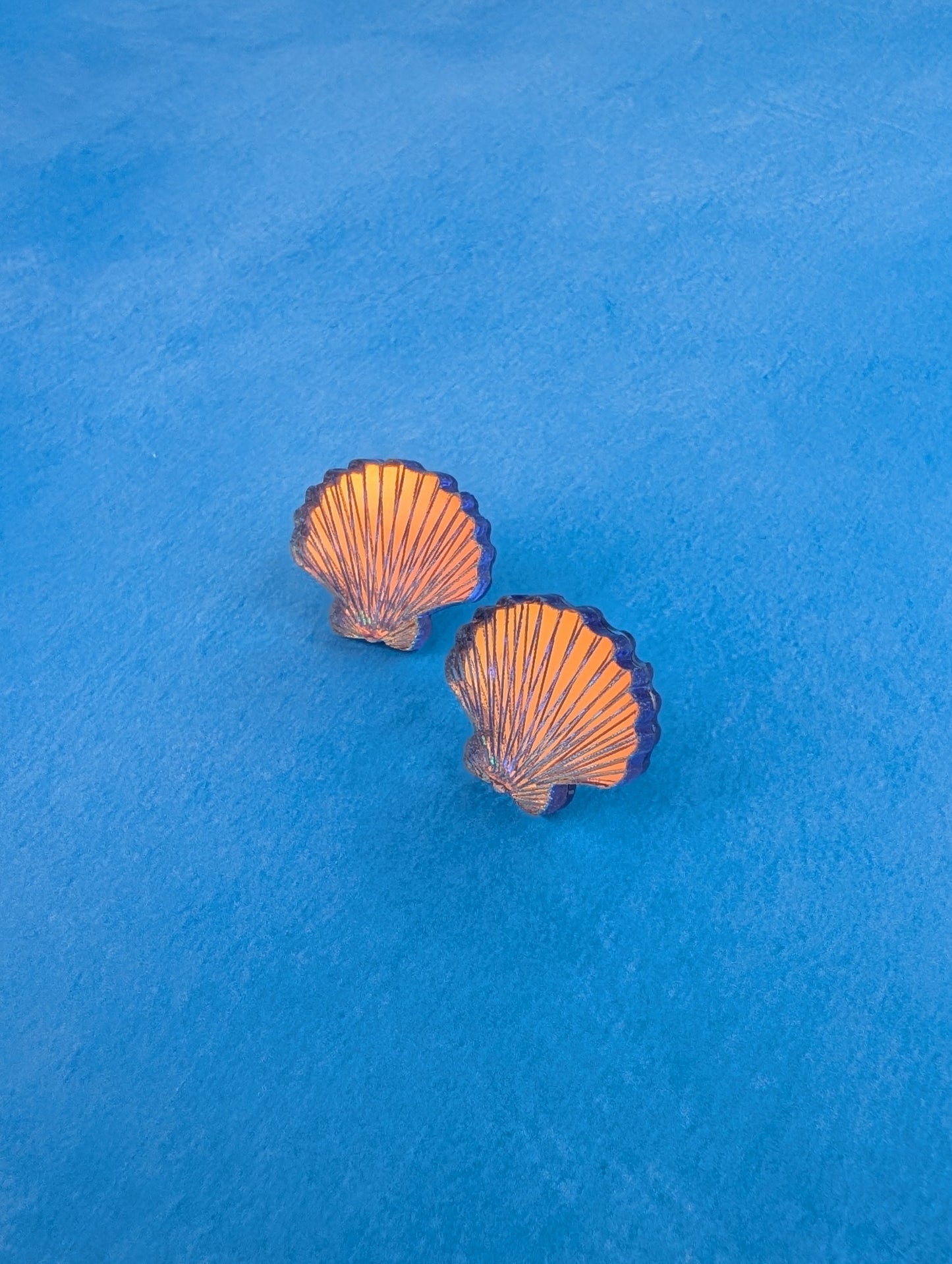 Shell Stud Earrings (6 colours)