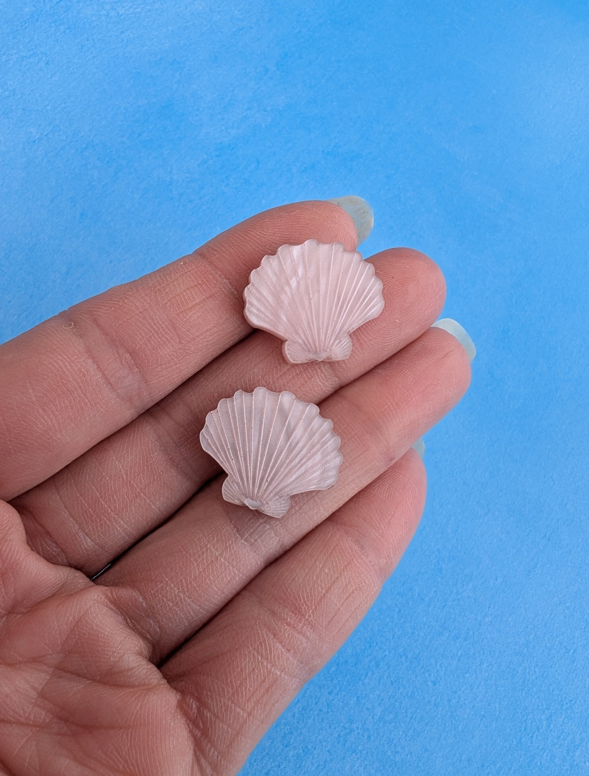 Shell Stud Earrings (6 colours)