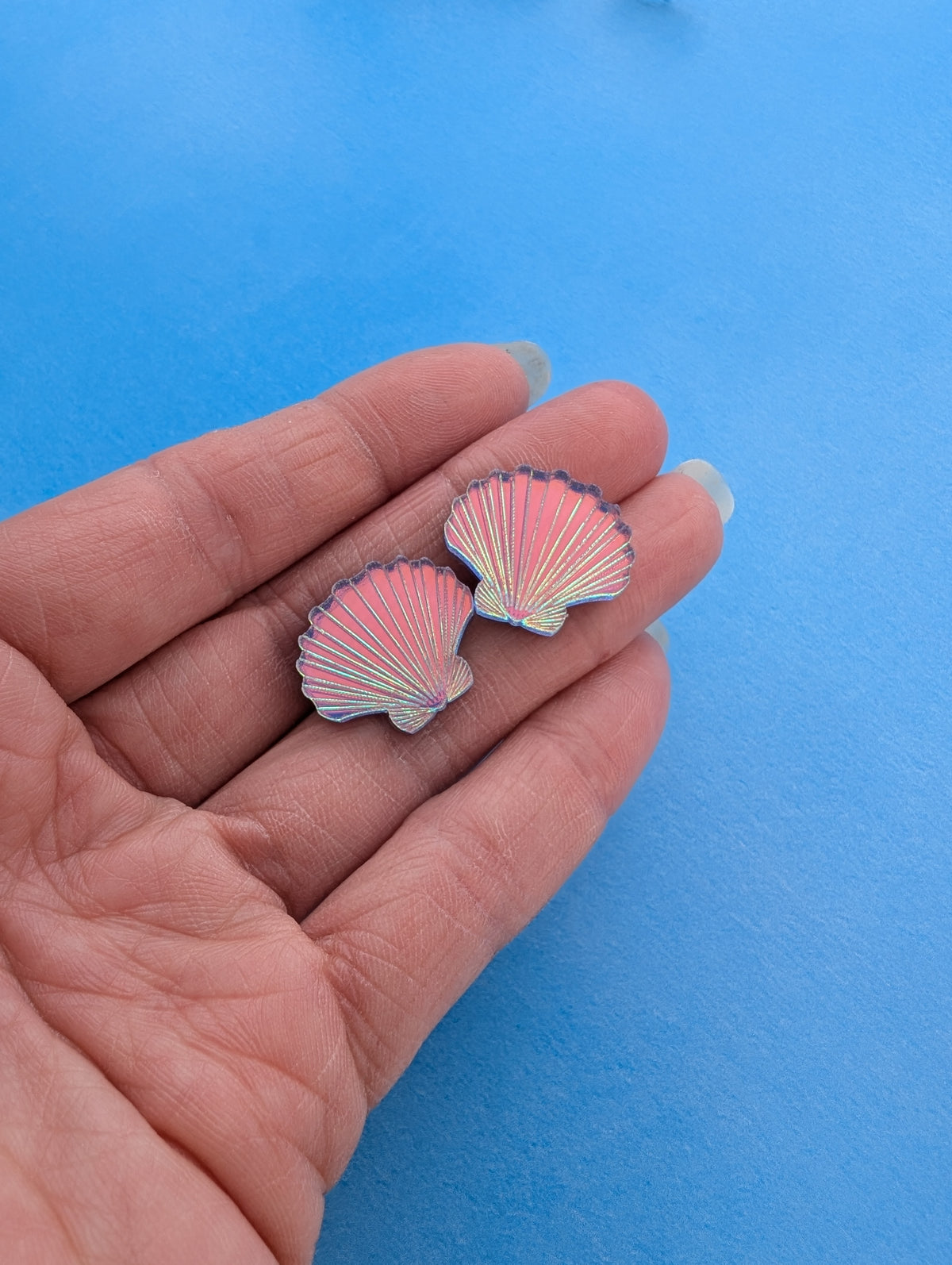 Shell Stud Earrings (6 colours)